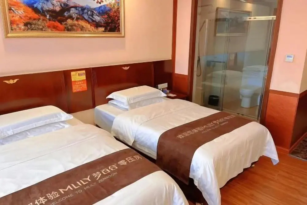 Джиангме: Park Hyatt Business Hotel (Jiangmen East High-speed Railway Station)