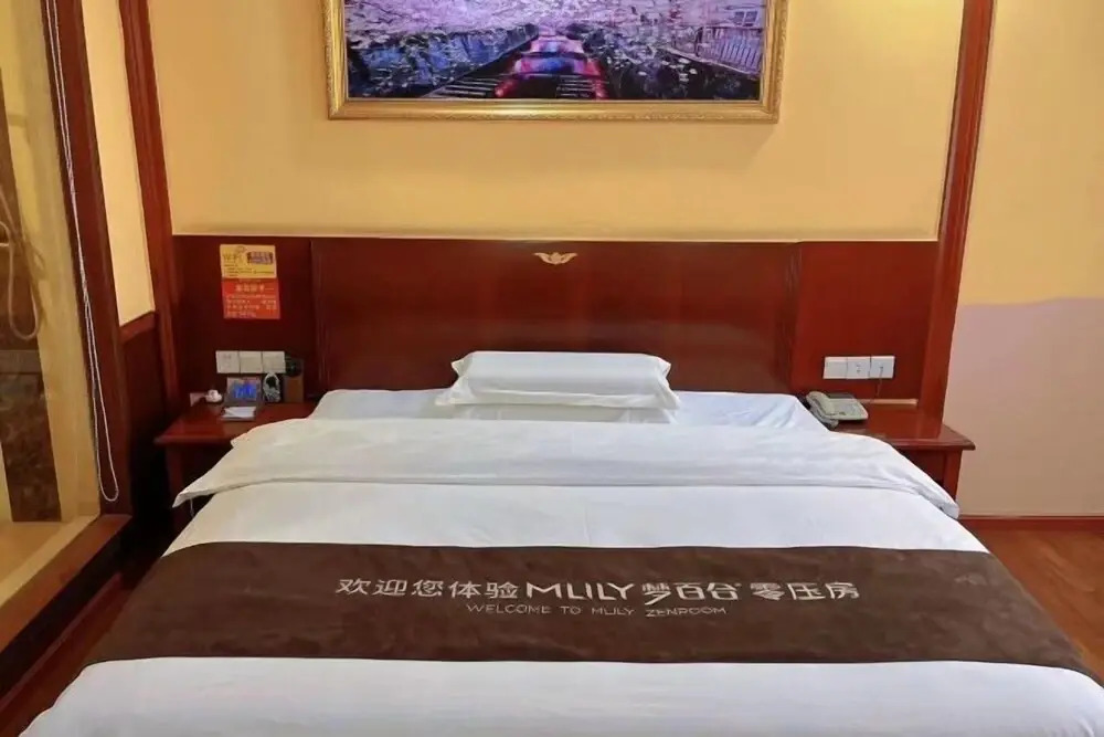 Джиангме: Park Hyatt Business Hotel (Jiangmen East High-speed Railway Station)