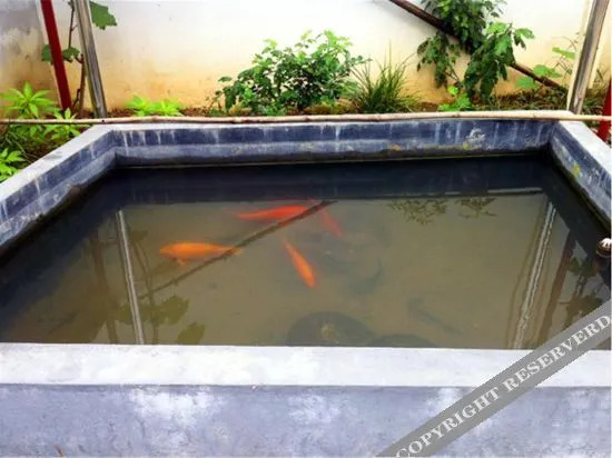 Ханчжоу: Yufeng Farm, Qiandao Lake, Chuan'an