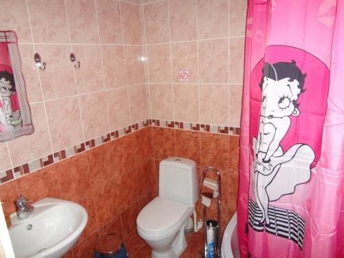 Сорочинск: Аист