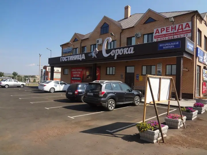 Сорока — фото 1
