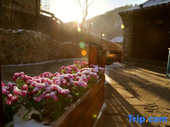 Пекин: Green Leaves Inn Gubei Water Town