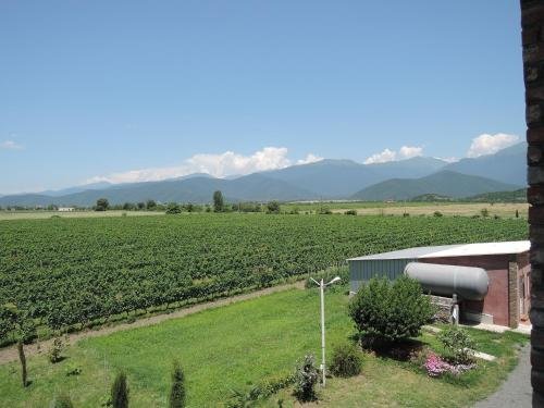 Кварели: Shaloshvili's Cellar Hotel