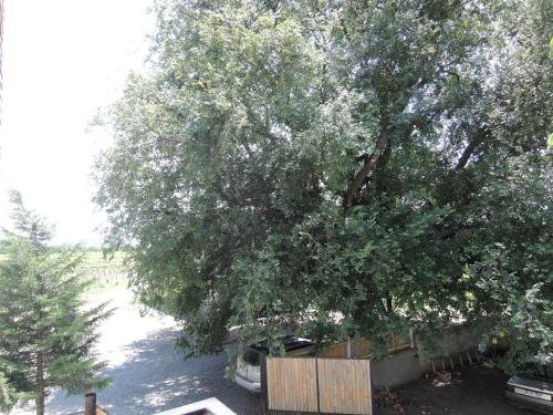 Кварели: Shaloshvili's Cellar Hotel