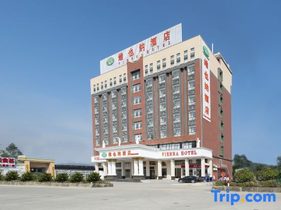 Vienna Hotel (Jieyang Longwei) — фото 1