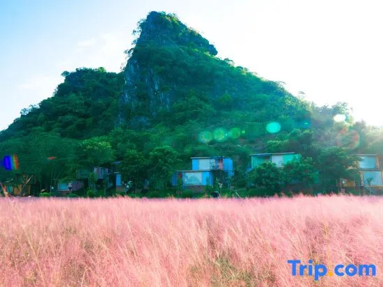Цзиньюань: Yingxi Fenglin Corridor Kowloon Eco-tourism Holiday House