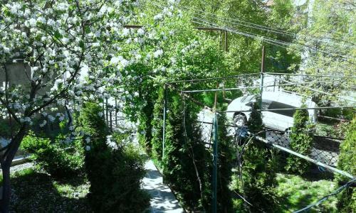 Боржоми: Qeta Guest House
