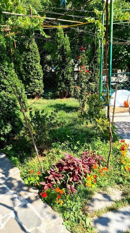 Боржоми: Qeta Guest House