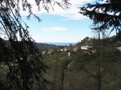 Батуми: Eco Villa Guesthouse