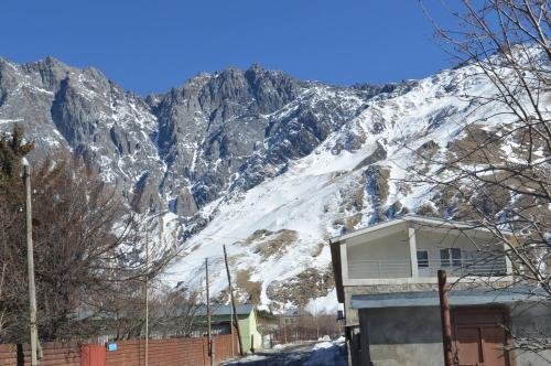 Степанцминда: Guest House Qubi