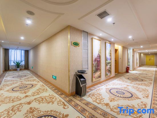 Йиян: Vienna International Hotel ( Yiyang Hi-tech Zone High-speed Railway South Station)