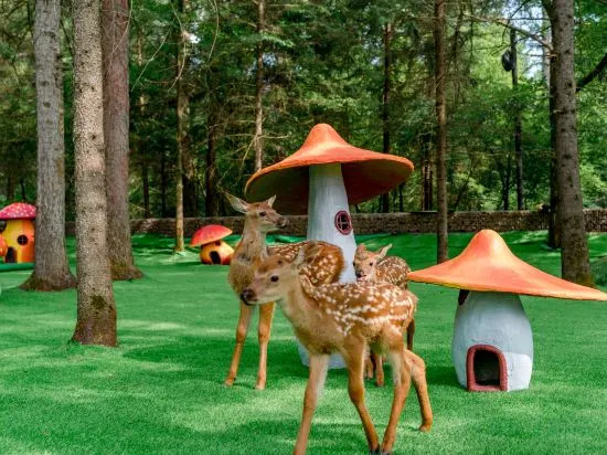 Байшань: Horizon Resort & Spa Changbaishan