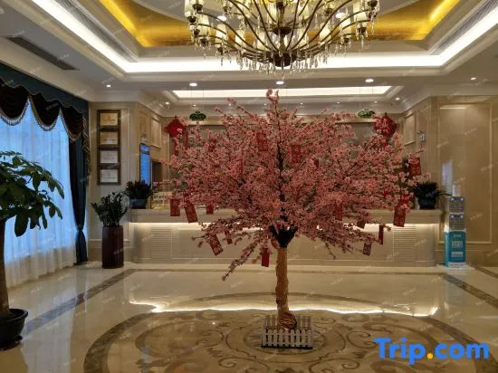 Цзиньюань: Vienna Hotel (Qingyuan Zhongshan Park Century Plaza)