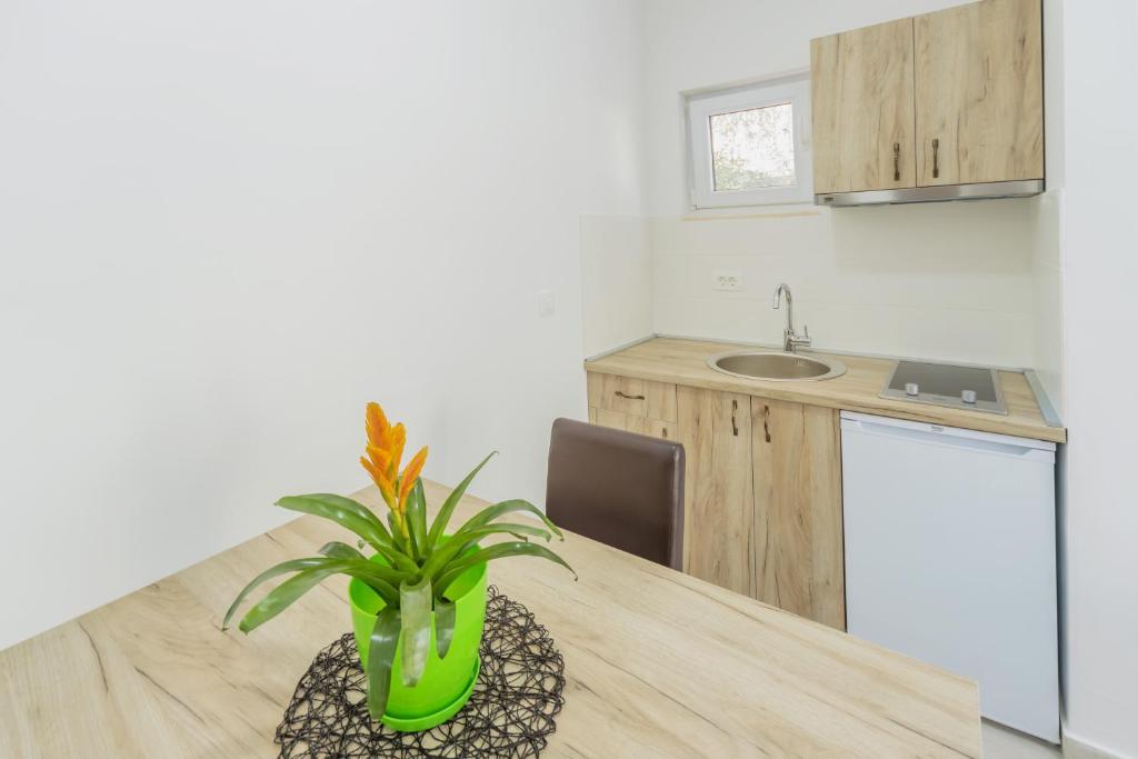 Петровац: GREJM Lux Family Apartments