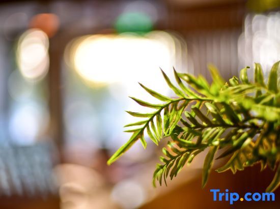 Пекин: True Go Hotel (Beijing Guang'anmen)