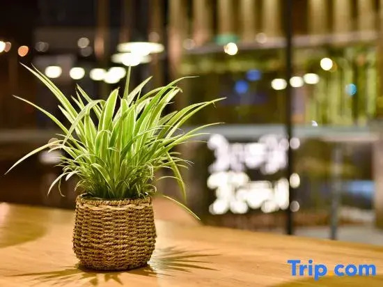 Пекин: True Go Hotel (Beijing Wangjing Science Park Store)