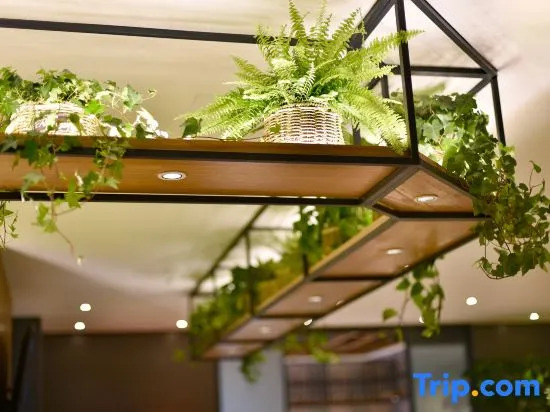 Пекин: True Go Hotel (Beijing Wangjing Science Park Store)