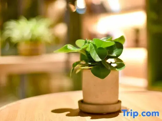 Пекин: True Go Hotel (Beijing Wangjing Science Park Store)