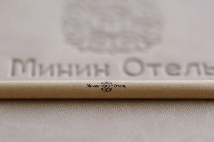 Нижний Новгород: Отель Минин