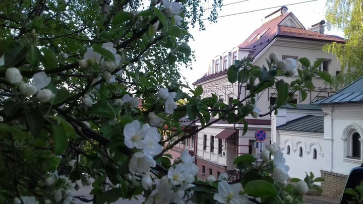 Нижний Новгород: Гостиница У Домика Петра