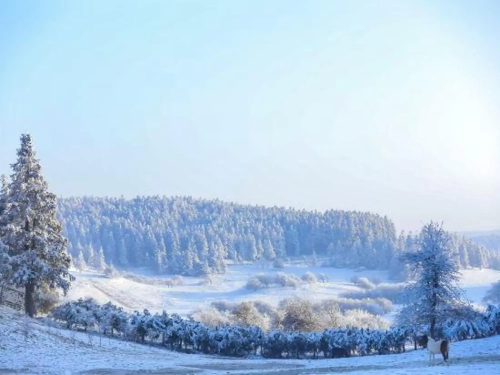 Чунцин: Fairy Mountain Huapont Hotel