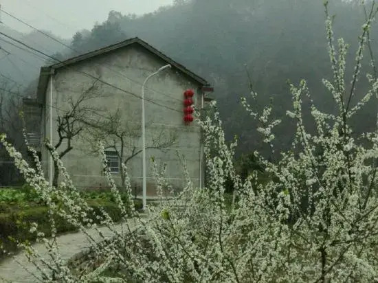 Чжанцзяцзе: Natural Renjia Inn