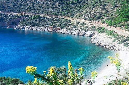 Датча: Olive Garden Hotel Datca