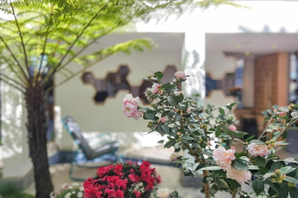 Баошань: Xinyue Suying Holiday Hotel