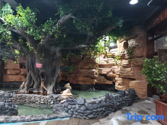 Миян: Dongyong Hot Spring Hotel