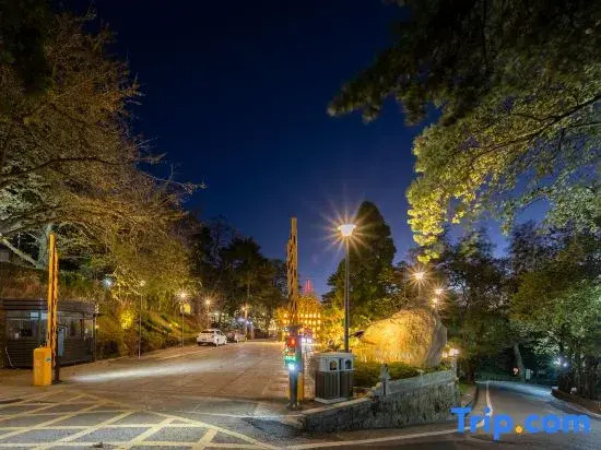 Цзюцзян: Lushan Villas Hotel