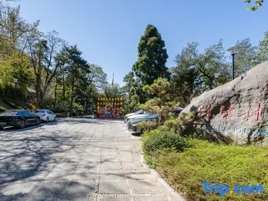 Цзюцзян: Lushan Villas Hotel