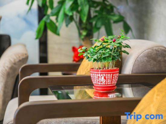 Фучжоу: Golden Coast Hotel (Fuzhou Changle airport)