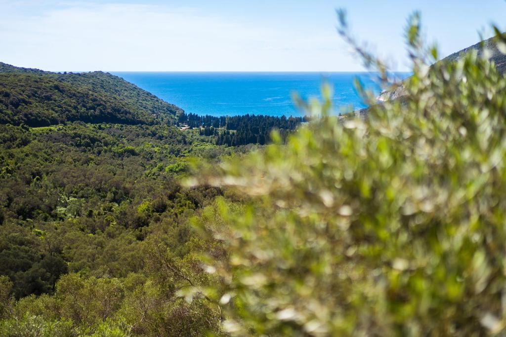 Ульцинь: Mare e monti