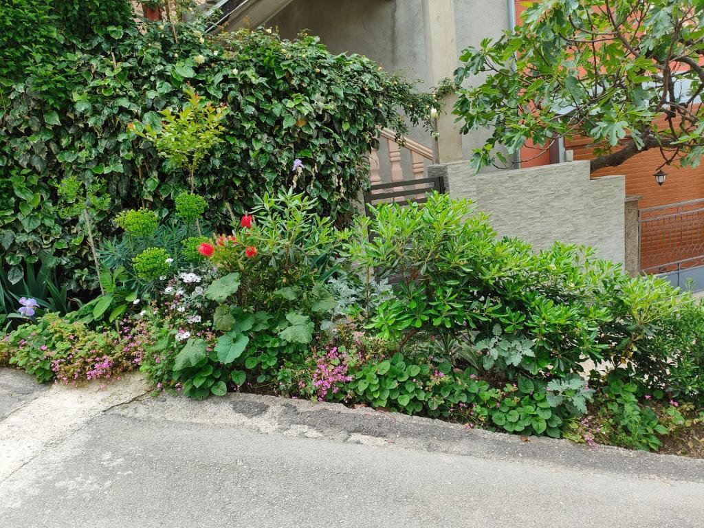 Доброта: Studio Apartman Rea