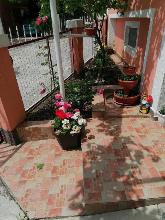 Сутоморе: Privatna Kuca Lela I Maja