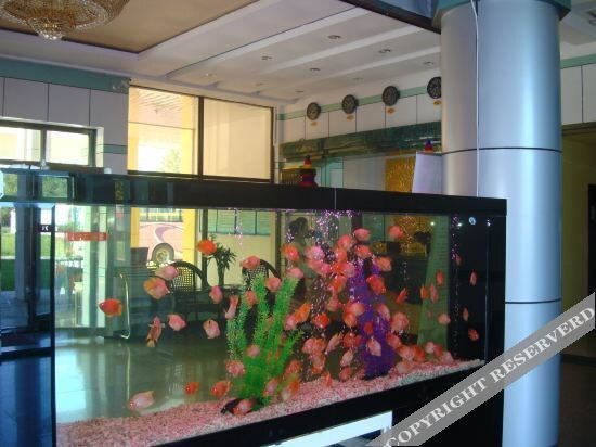 Хэйхэ: Jiaotong Hotel