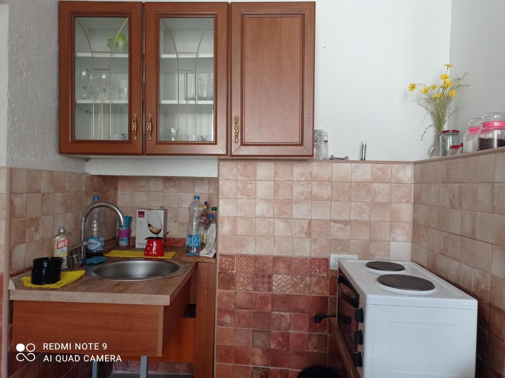 Apartman Milena 1 — фото 3