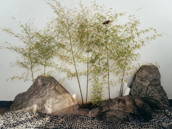 Баошань: Tengchong Nansu · Timeli Lakeside Yard