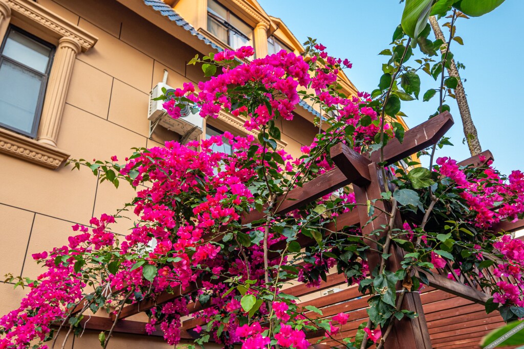 Бэйхай: Yintan Zeyinju Hotel