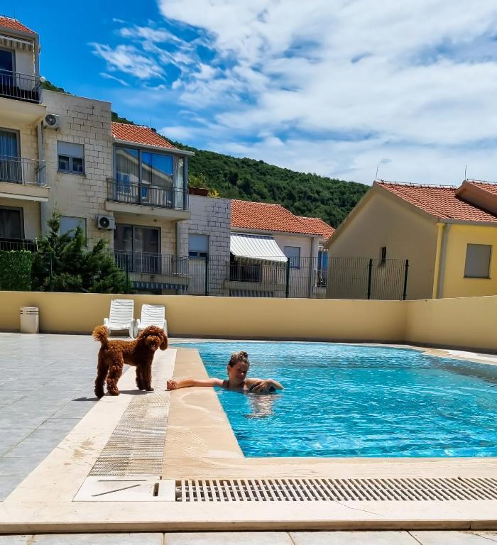 Петровац: Anja & Ogo apartments with Pool _