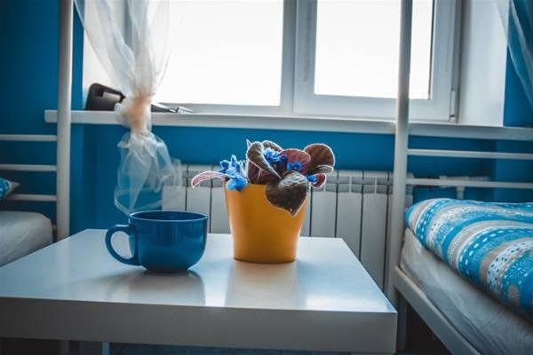 Омск: Hostel Central