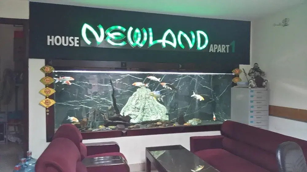Ханой: Newland Studio Apartment 1