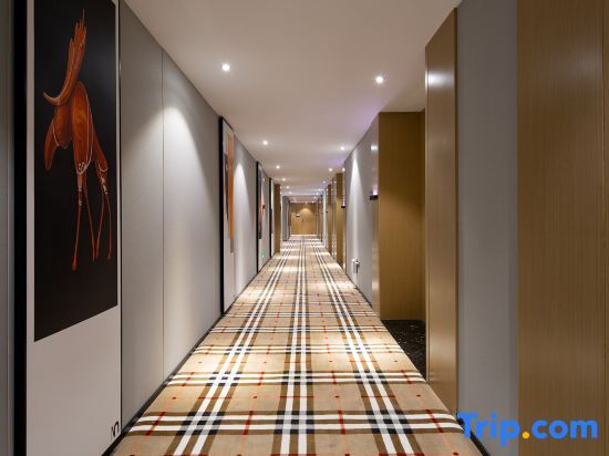 Чанша: Meiyang Luxury Hotel Changsha high-speed railway south station shop