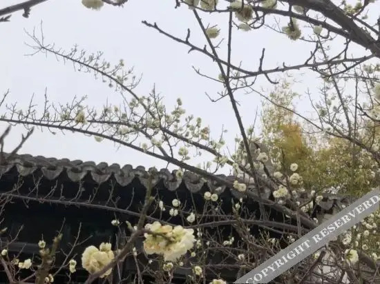 Анькан: Yinghu Hotel