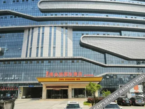 Аньцин: Vienna International Hotel