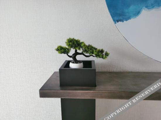 Аньцин: Swiden Boutique Hotel (Anqing Nanxiang Cloud Store)