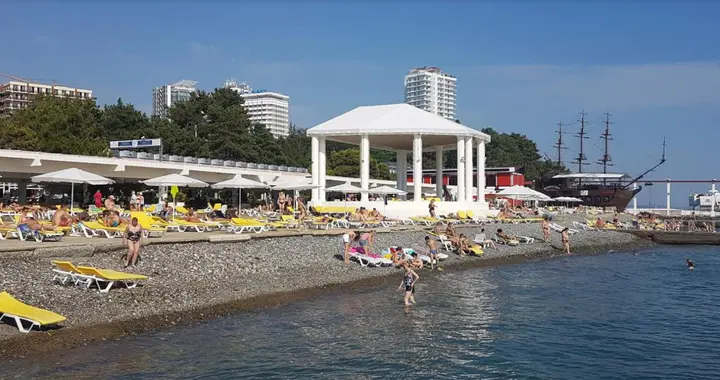 Сочи: Апартаменты - квартира Marina Park