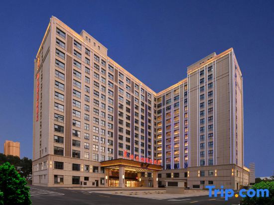 Vienna International Hotel (Jurong Huayang) — фото 1