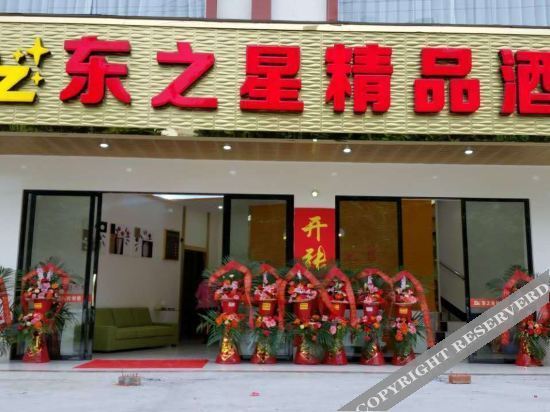Байсе: Tiandong Dongzhixing Boutique Hotel