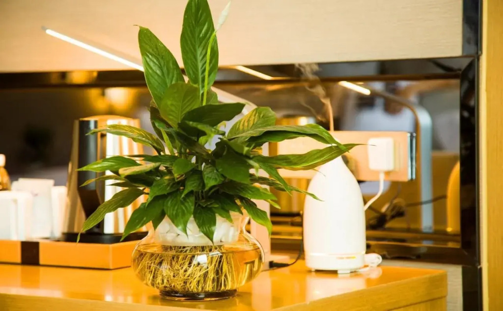 Чжэнчжоу: Lavande Hotel Zhengzhou High-Tech Zone Kexue Avenue